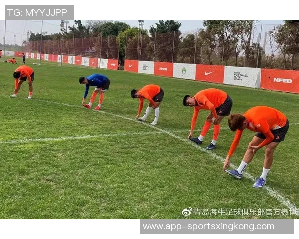 青岛海牛主场收官战战绩优异近五场保持不败展现强劲实力